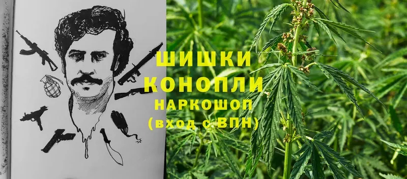 хочу наркоту  Ардон  Канабис THC 21% 